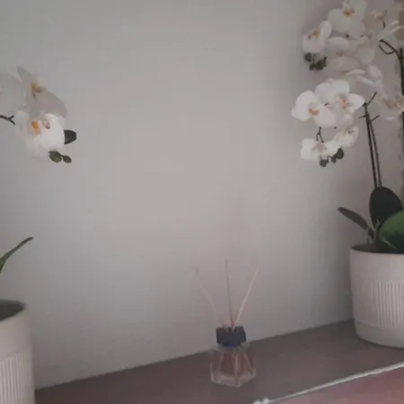 Old House 2 *